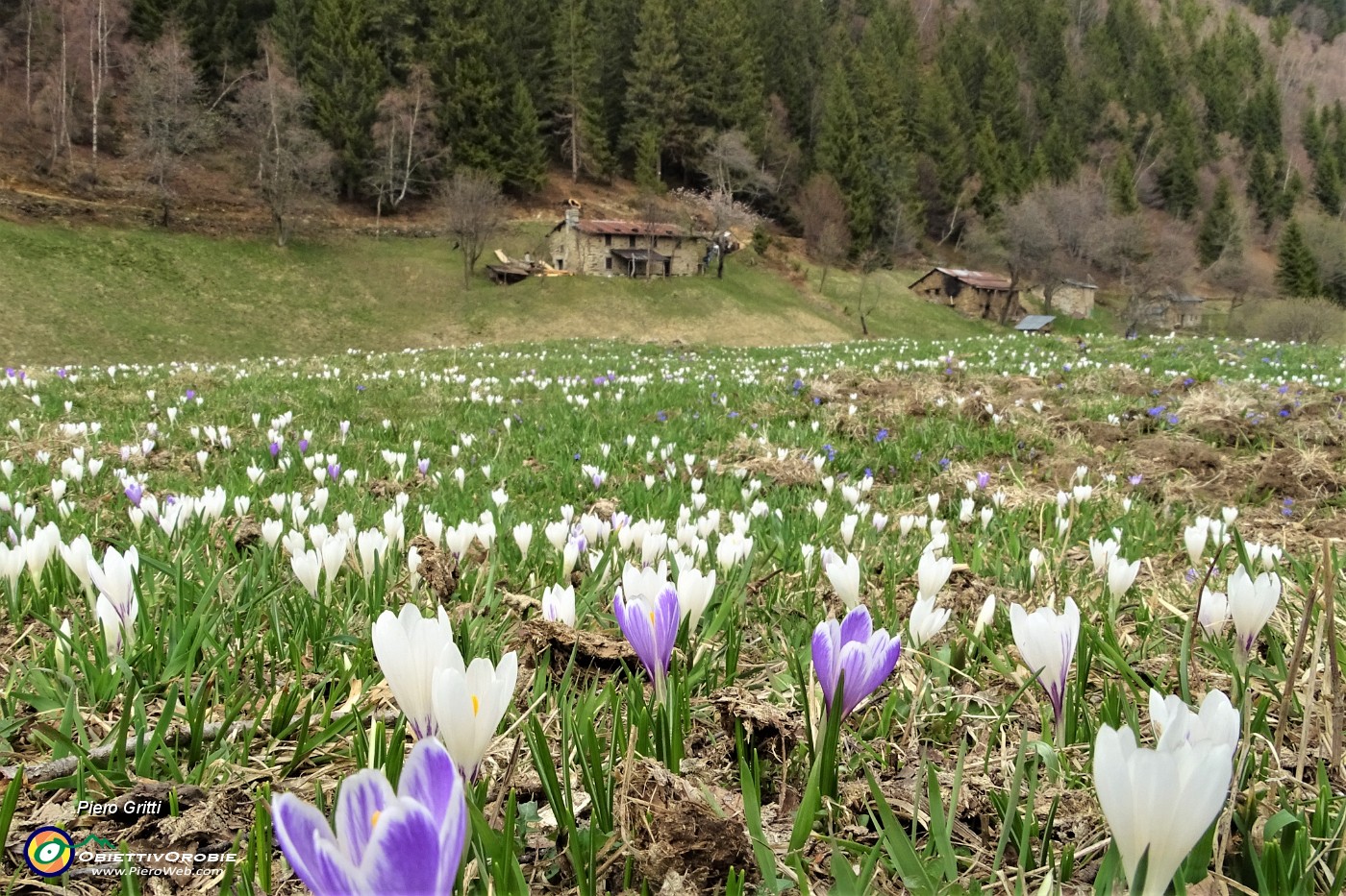 72 Vista su alcune baite della Pigolottta.JPG